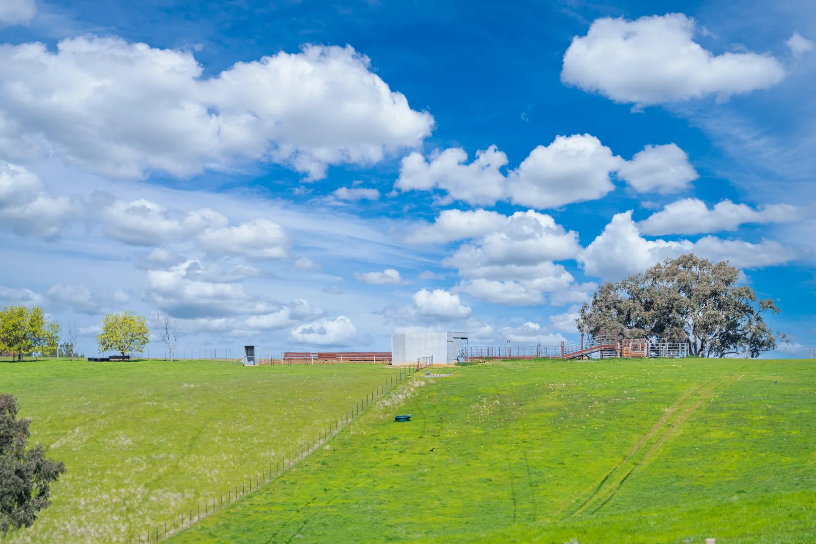 Additional image 18 of 1510 Culcairn Holbrook Road, Morven NSW 2660