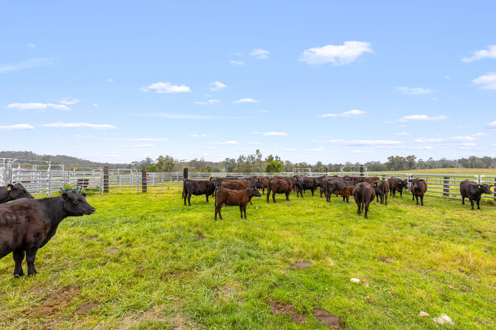 Additional image 20 of 28 Langlands Road, Glen Oak NSW 2320