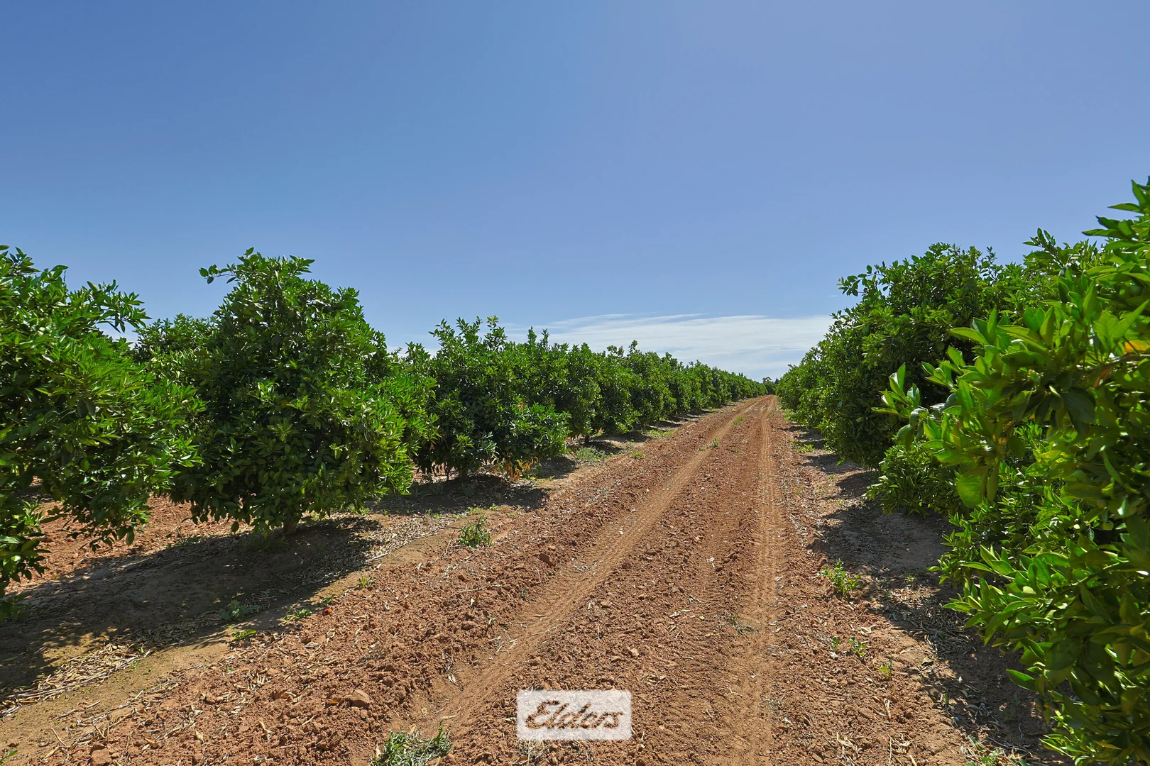 Additional image 7 of 310 Delta Road, Curlwaa NSW 2648