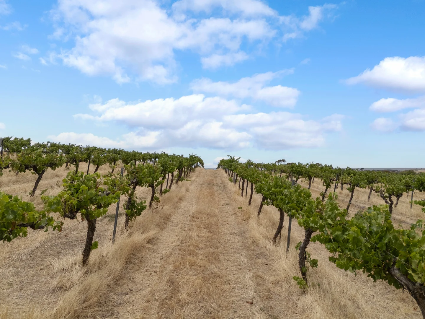 Additional image 8 of Lot 15 Horrocks Highway, Auburn SA 5451