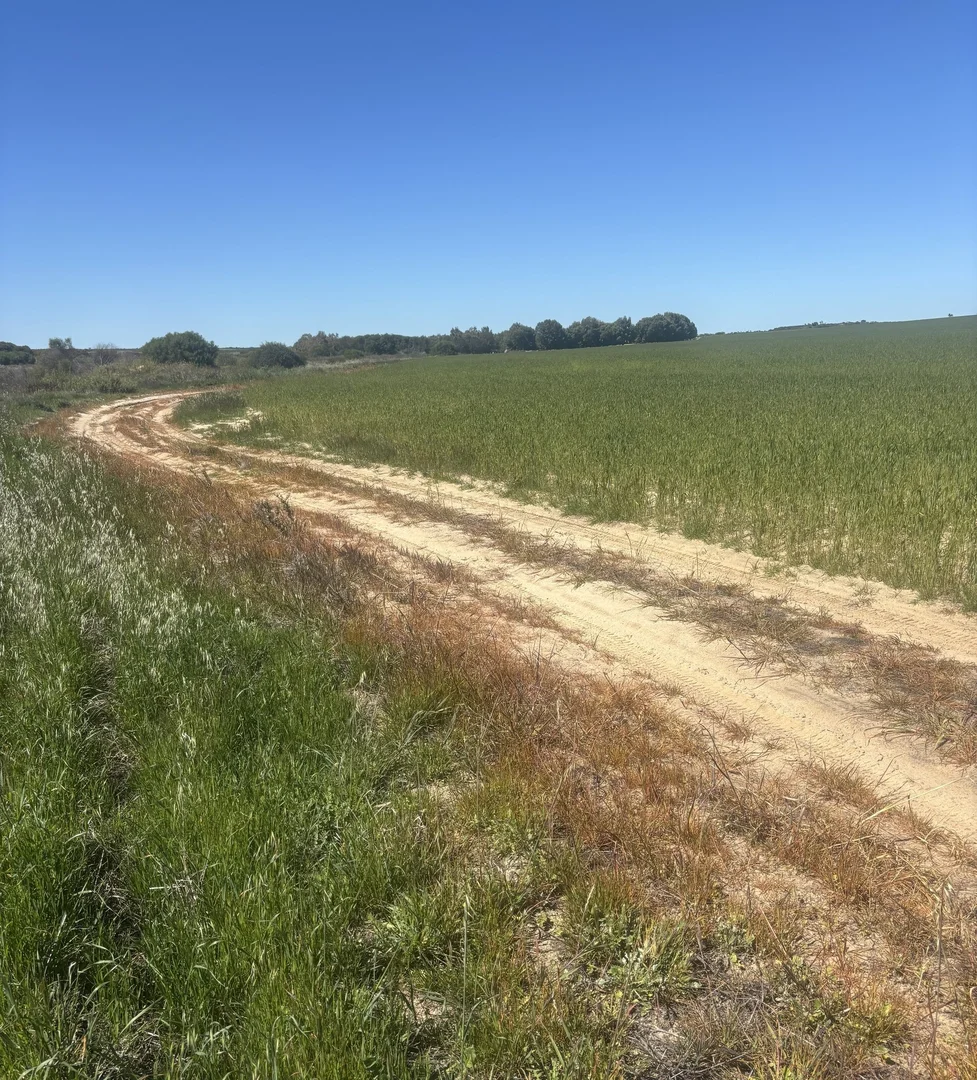 Additional image 6 of Lot 55 Ahern Place, Hickety WA 6532