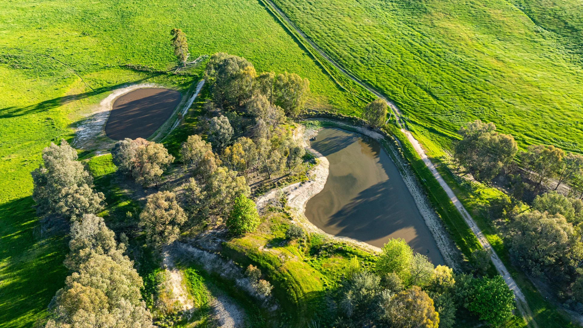 Additional image 5 of Lot 1/279 & Lot 2/281 Jingellic Road, Holbrook NSW 2644