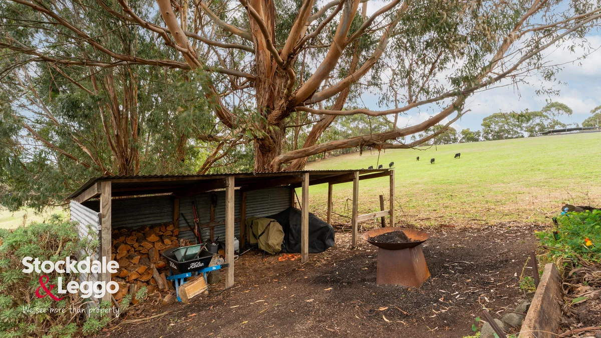 Additional image 18 of 375 Holmes Road, Berrys Creek VIC 3953