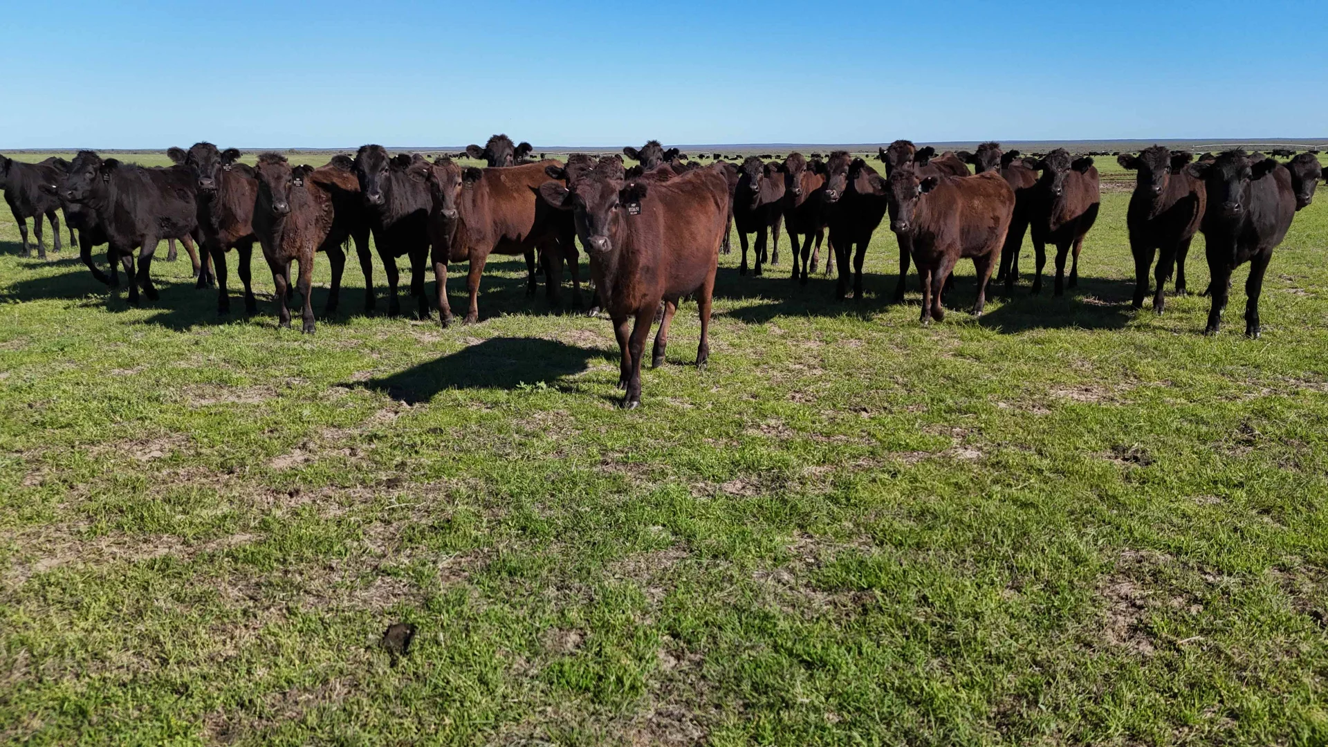 Additional image 5 of Badgingarra WA 6521