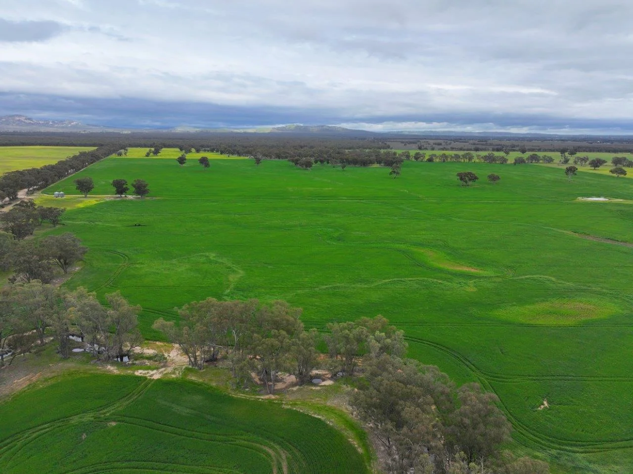 Additional image 19 of -- Brenanah-Kurting Road, Kurting VIC 3517