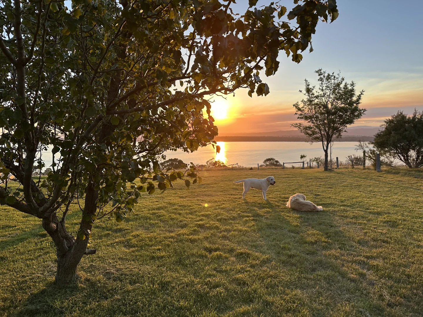 Additional image 22 of 53 Ryans Road, Coongulla VIC 3860