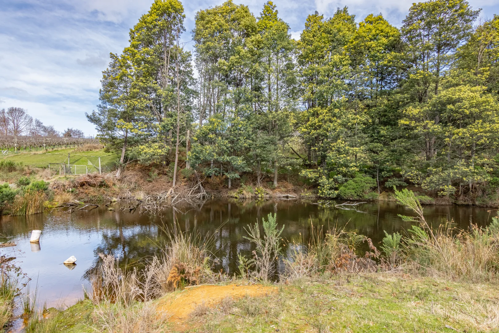 Additional image 37 of 304 Dickensons Creek Road, Glen Huon TAS 7109