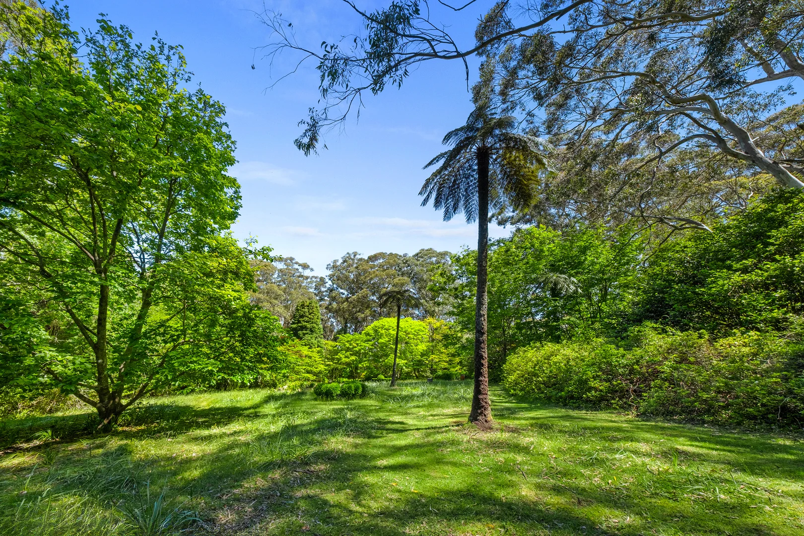 Additional image 30 of 225 Mount Irvine Road, Mount Irvine NSW 2786