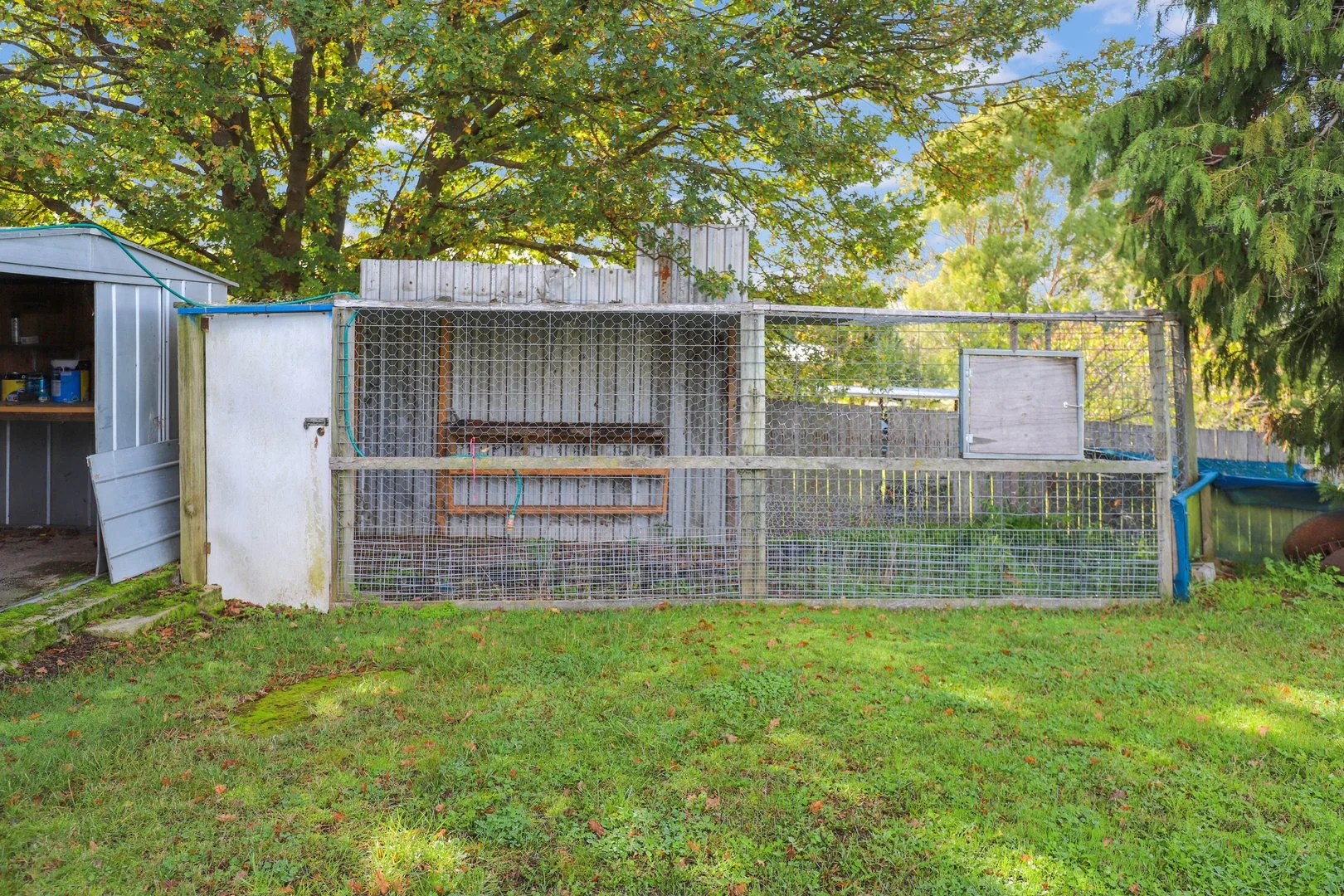 Additional image 33 of 43-45 Plunkett Street, Bombala NSW 2632