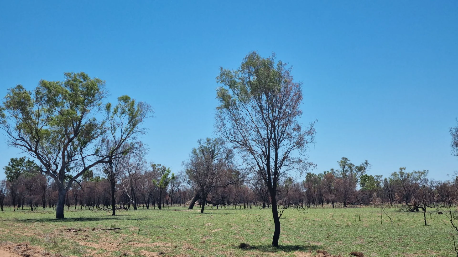 Additional image 5 of 202-410 Wallal Street, Bakers Bend QLD 4470