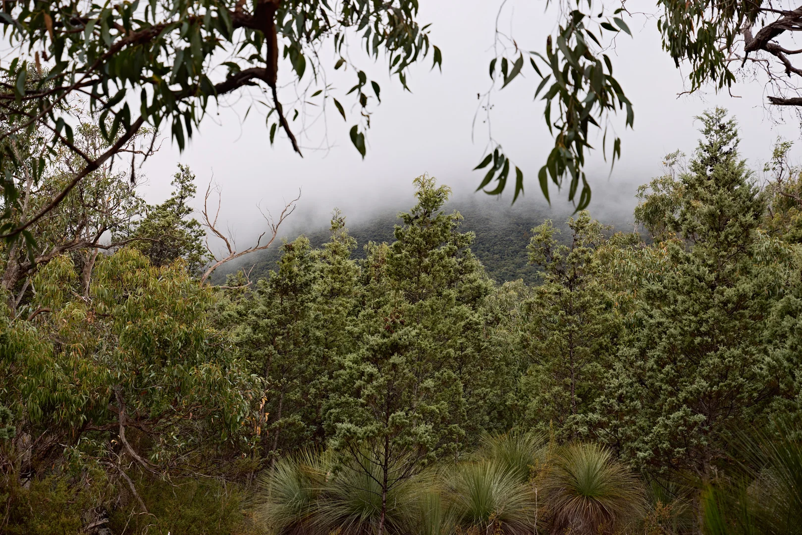 Additional image 29 of 586 Victoria Valley Road, Dunkeld VIC 3294