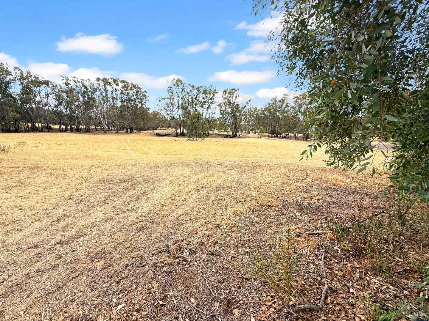Additional image 15 of 116 Woolscour Road, Narrandera NSW 2700
