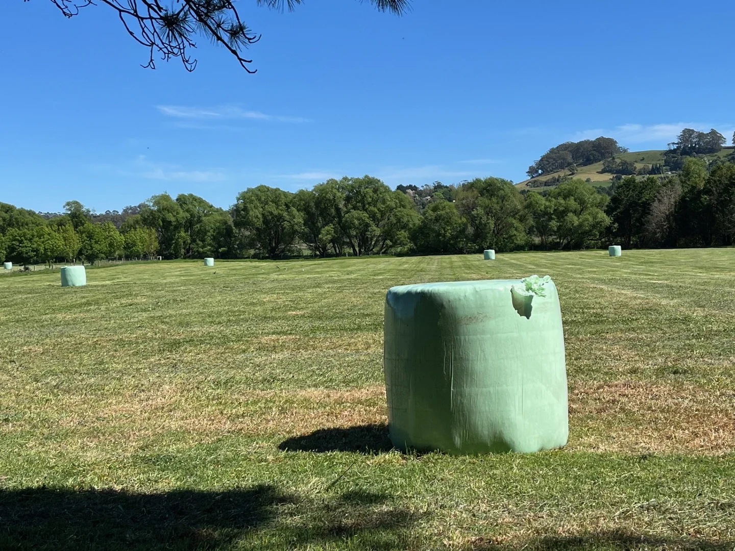 Additional image 53 of 50 Blencowes Lane, Wildes Meadow NSW 2577