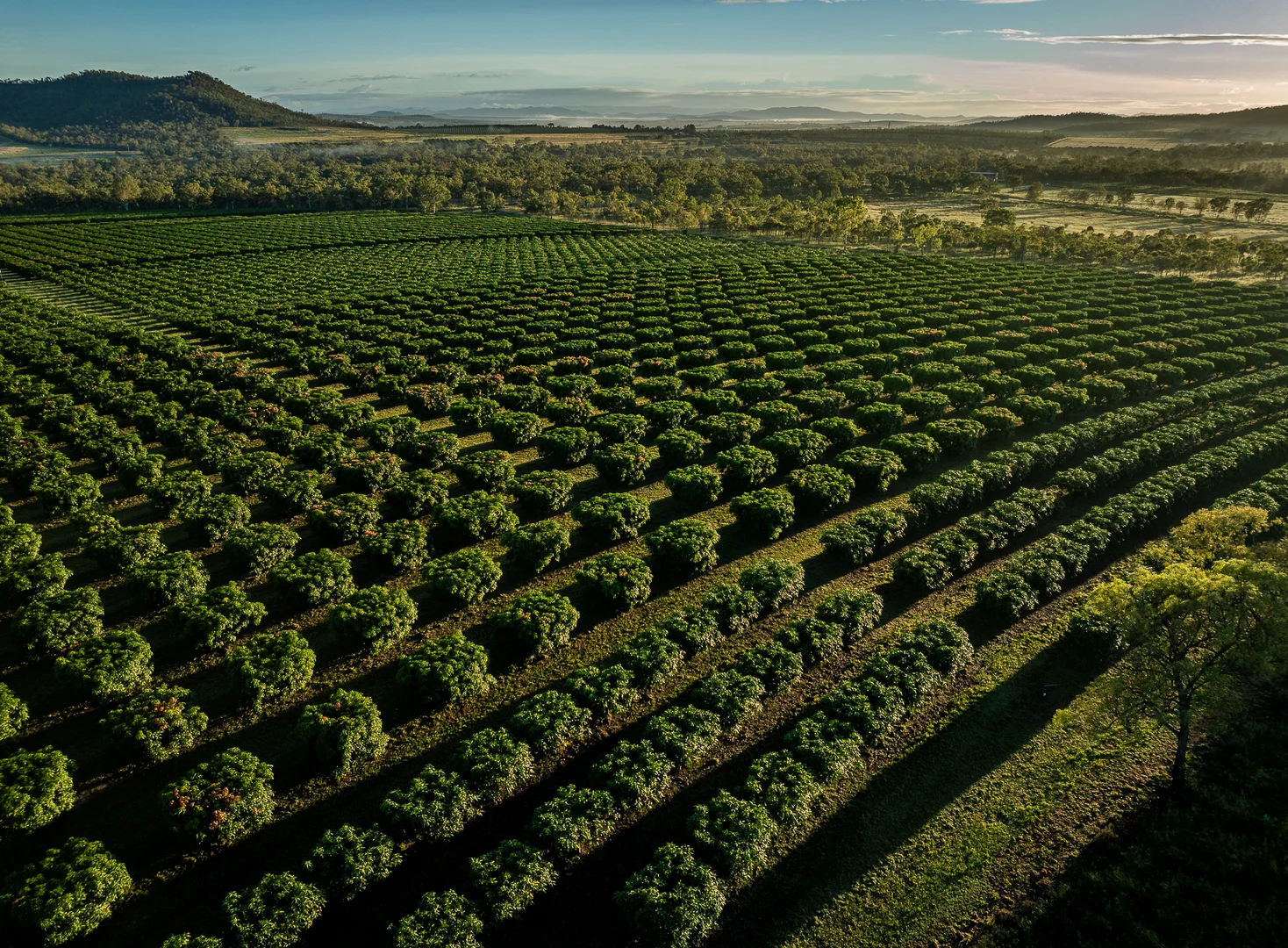 Additional image 24 of Dimbulah QLD 4872