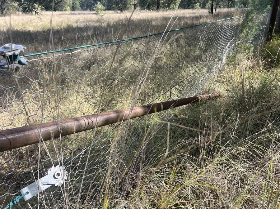 Additional image 6 of Part 127 Creek Road, Baradine NSW 2396