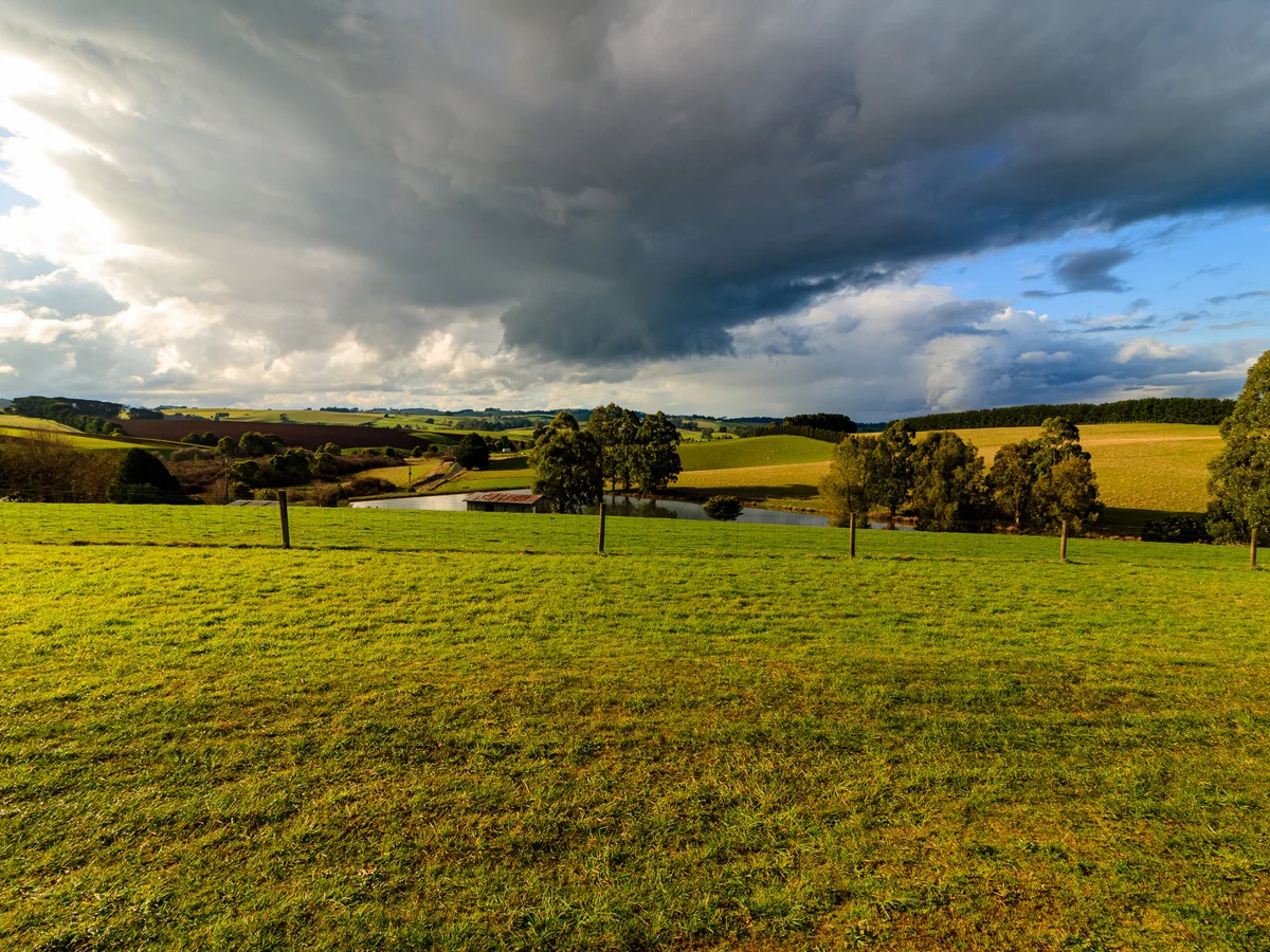 Additional image 4 of 14 Graham Street, Thorpdale VIC 3835