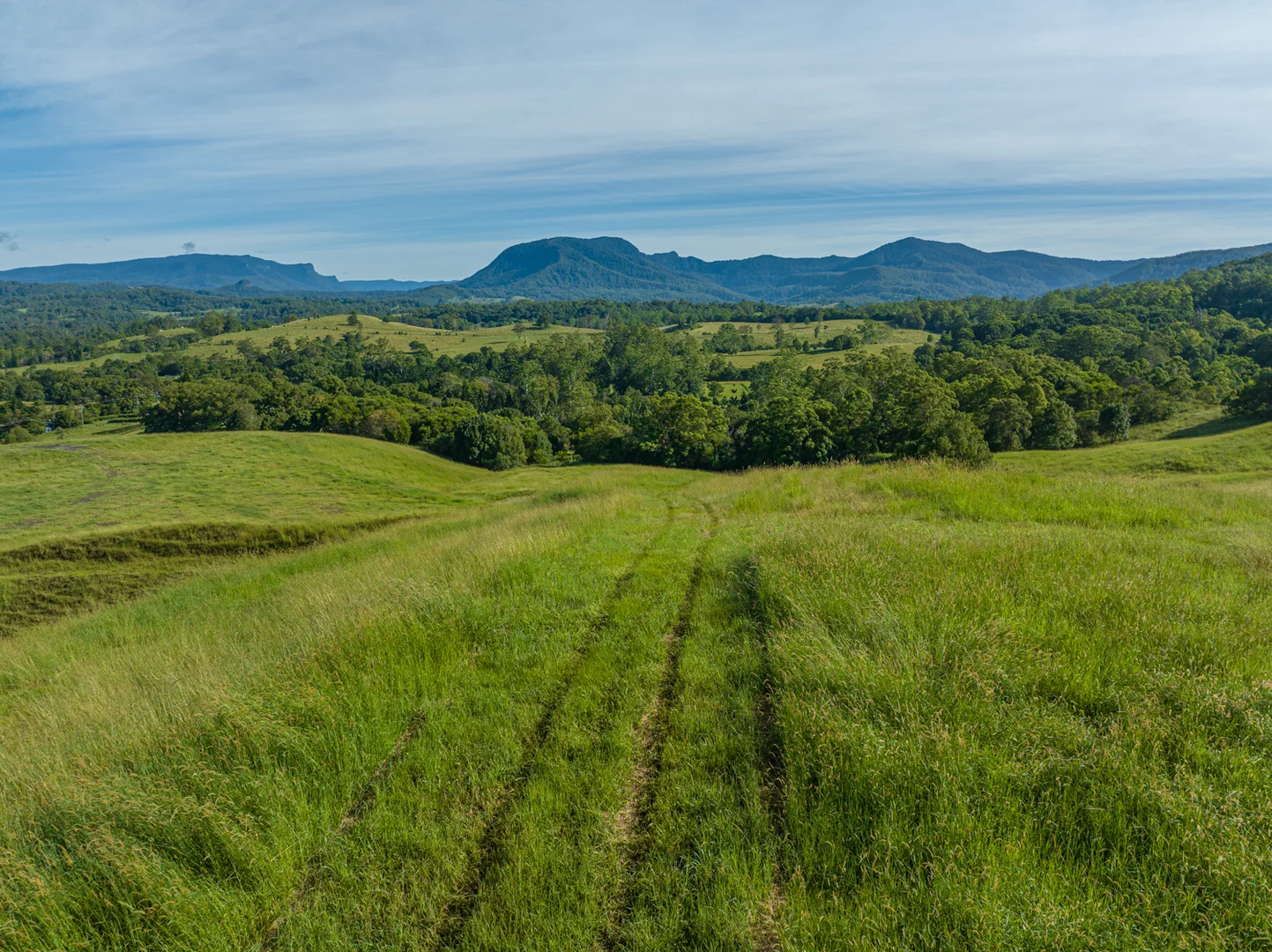 Additional image 8 of 2298 Nimbin Road, Nimbin NSW 2480