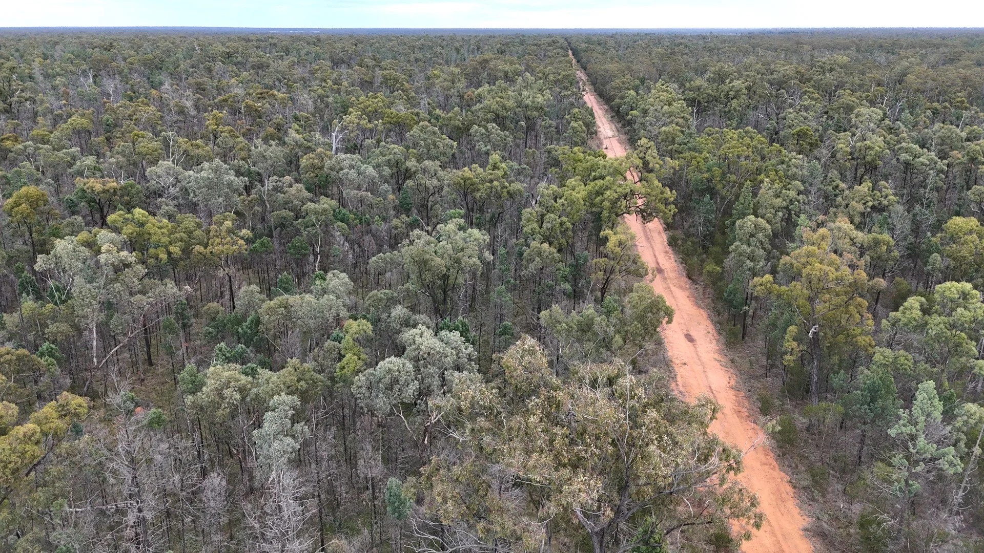 Additional image 2 of Lots 1 & N Yagaburne-Boondandilla Road, Boondandilla QLD 4406
