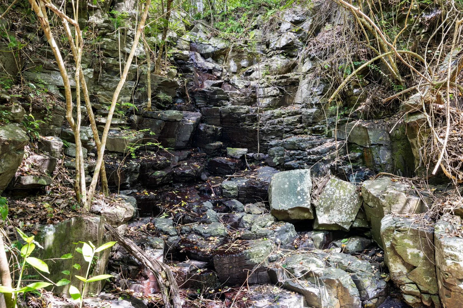 Additional image 29 of 154 Sawpit Creek Road, Findon Creek NSW 2474