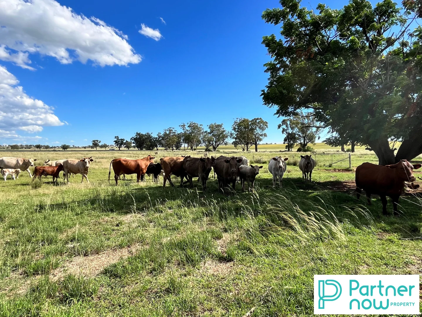 Additional image 4 of 205 Gidley-Appleby Road, Tamworth NSW 2340