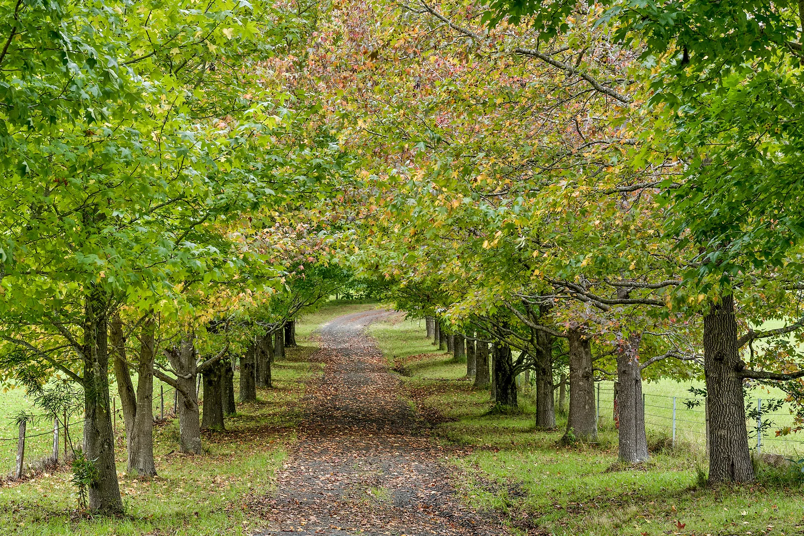 Additional image 20 of 195 Devitts Lane, Meroo Meadow NSW 2540