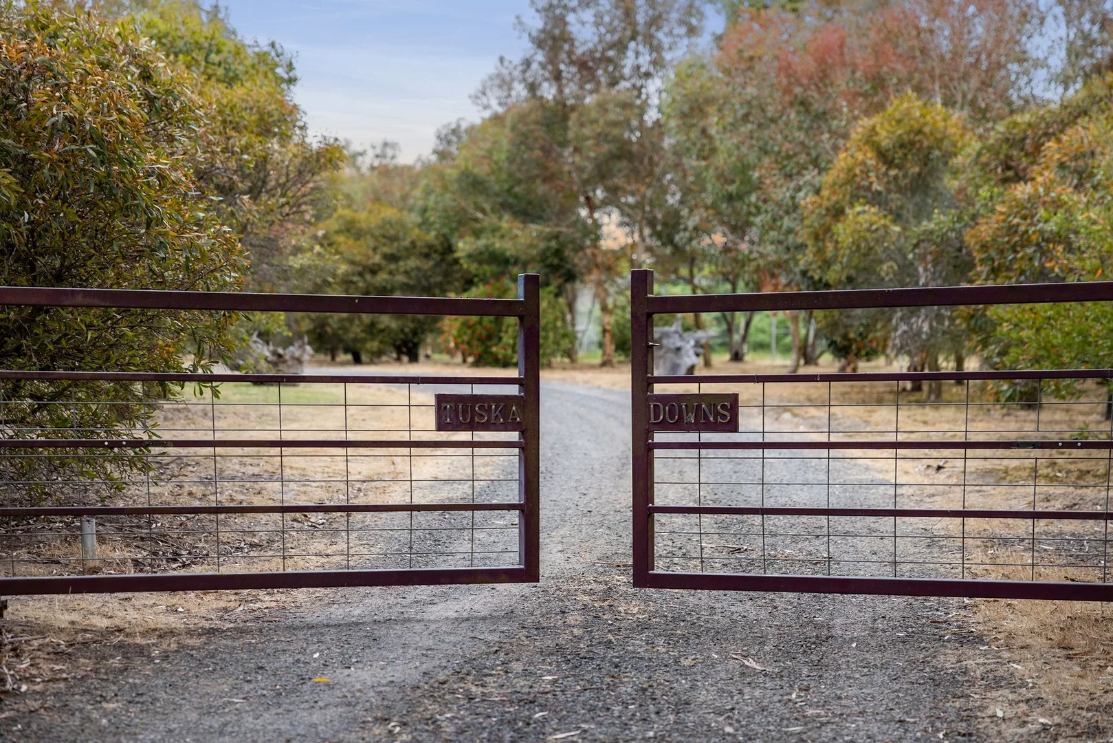 Additional image 10 of 366 Savage Hill Road, Dereel VIC 3352