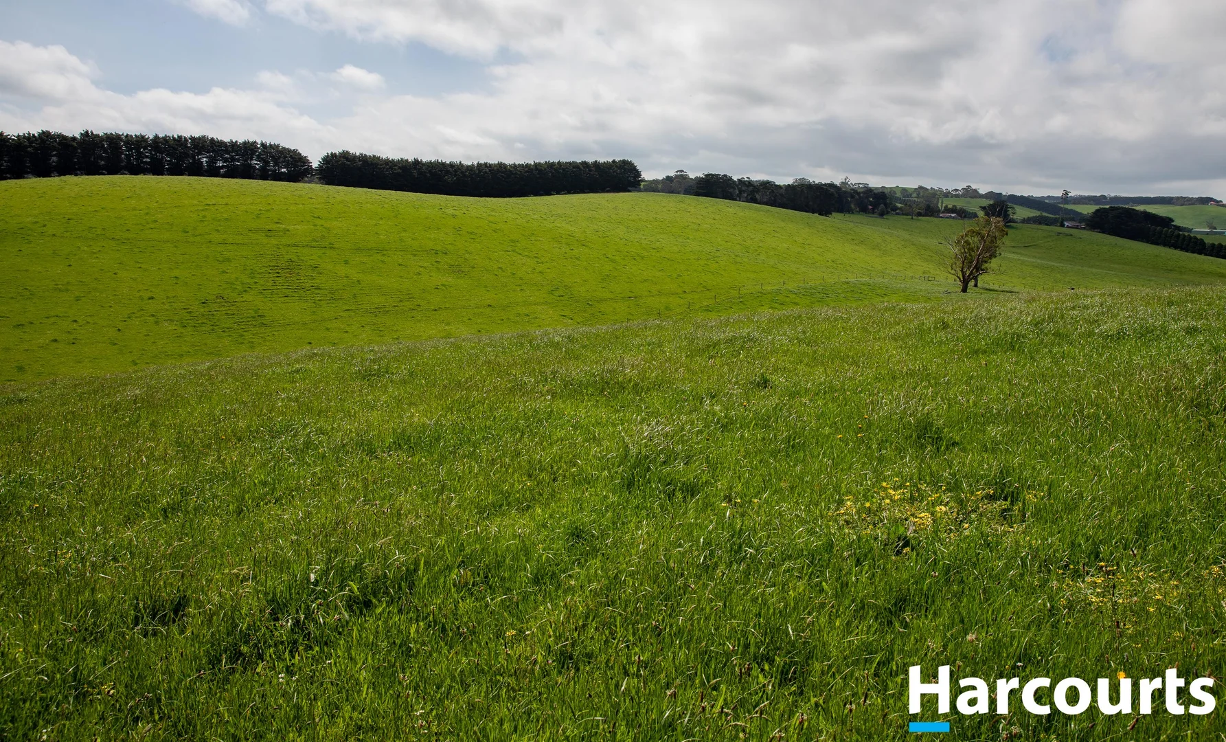 Additional image 21 of 715 Falls Road, Fish Creek VIC 3959