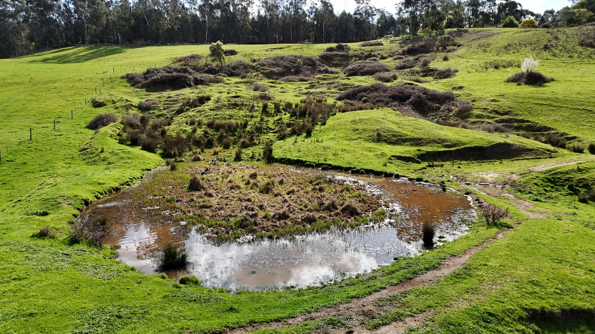 Additional image 14 of 141 BUNDERRA DRIVE, Boolarra VIC 3870