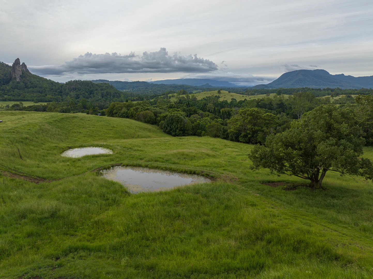 Additional image 42 of 2298 Nimbin Road, Nimbin NSW 2480