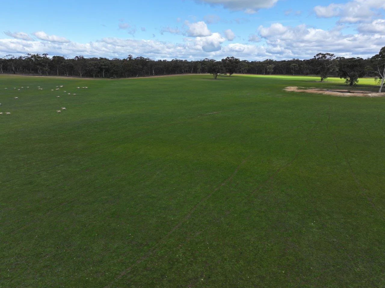 Additional image 18 of 457 Scenic Road, Eddington VIC 3472