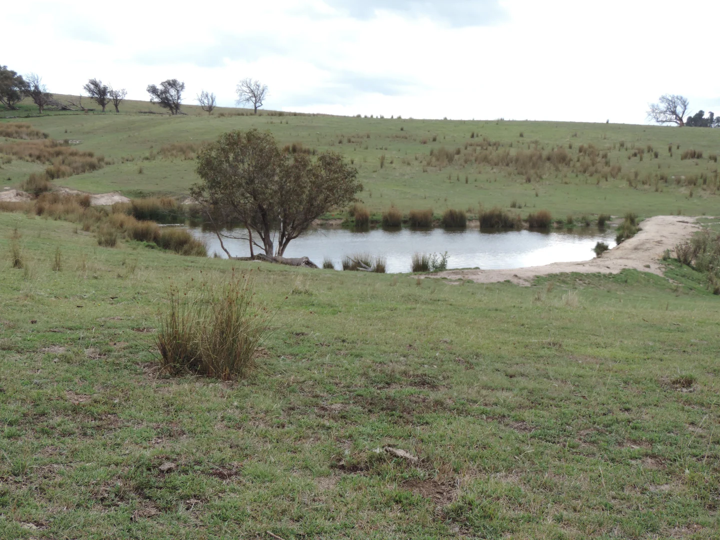 Additional image 14 of Lot 2 Golspie Road, Laggan NSW 2583