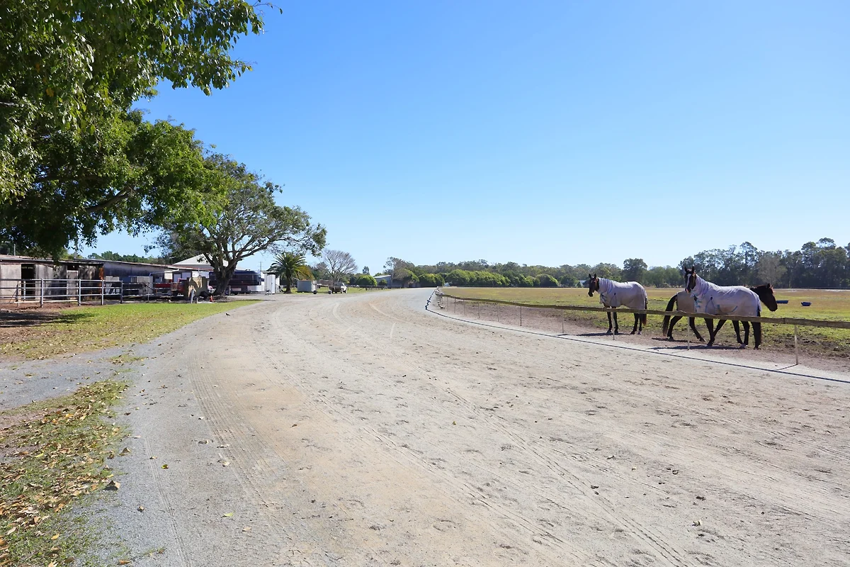 Additional image 18 of 1717 Stapylton Jacobs Well Road, Jacobs Well QLD 4208