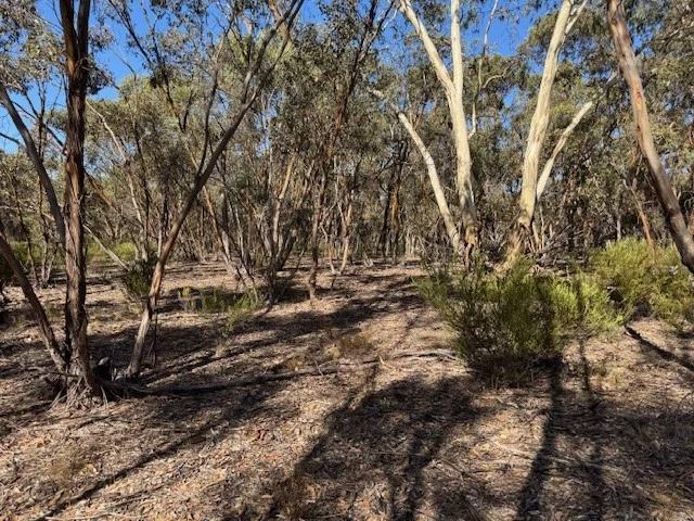 Additional image 14 of 69A Ainsworth Road, Wedderburn VIC 3518