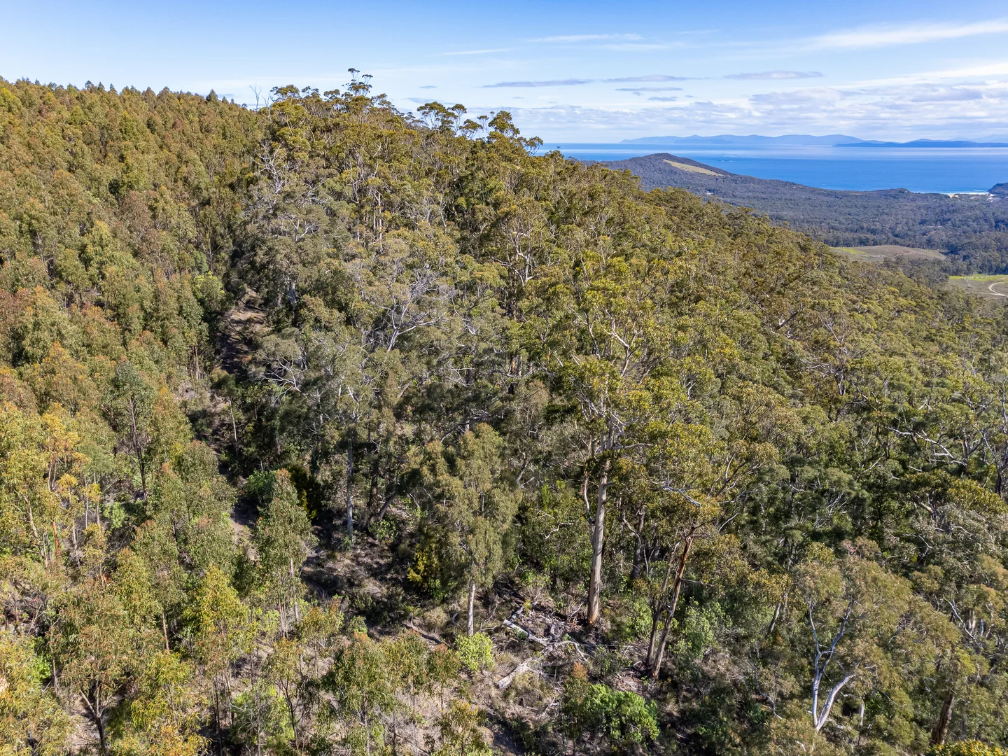 Additional image 28 of C/494 Hurdle Road, Saltwater River TAS 7186