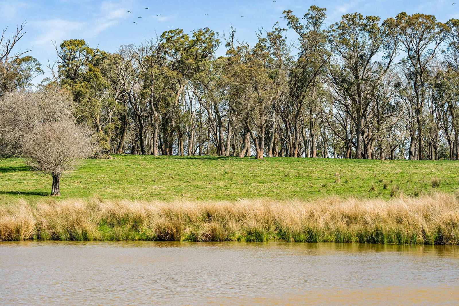 Additional image 12 of 5941 Illawarra Highway, Avoca NSW 2577