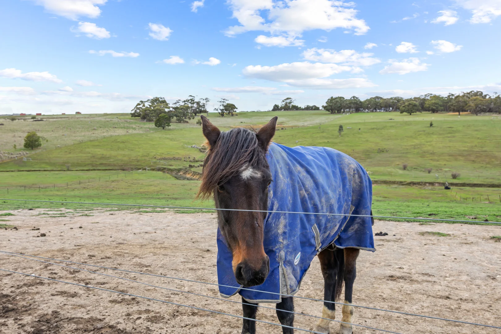 Additional image 20 of 27 Parkers Road, Berringa VIC 3351