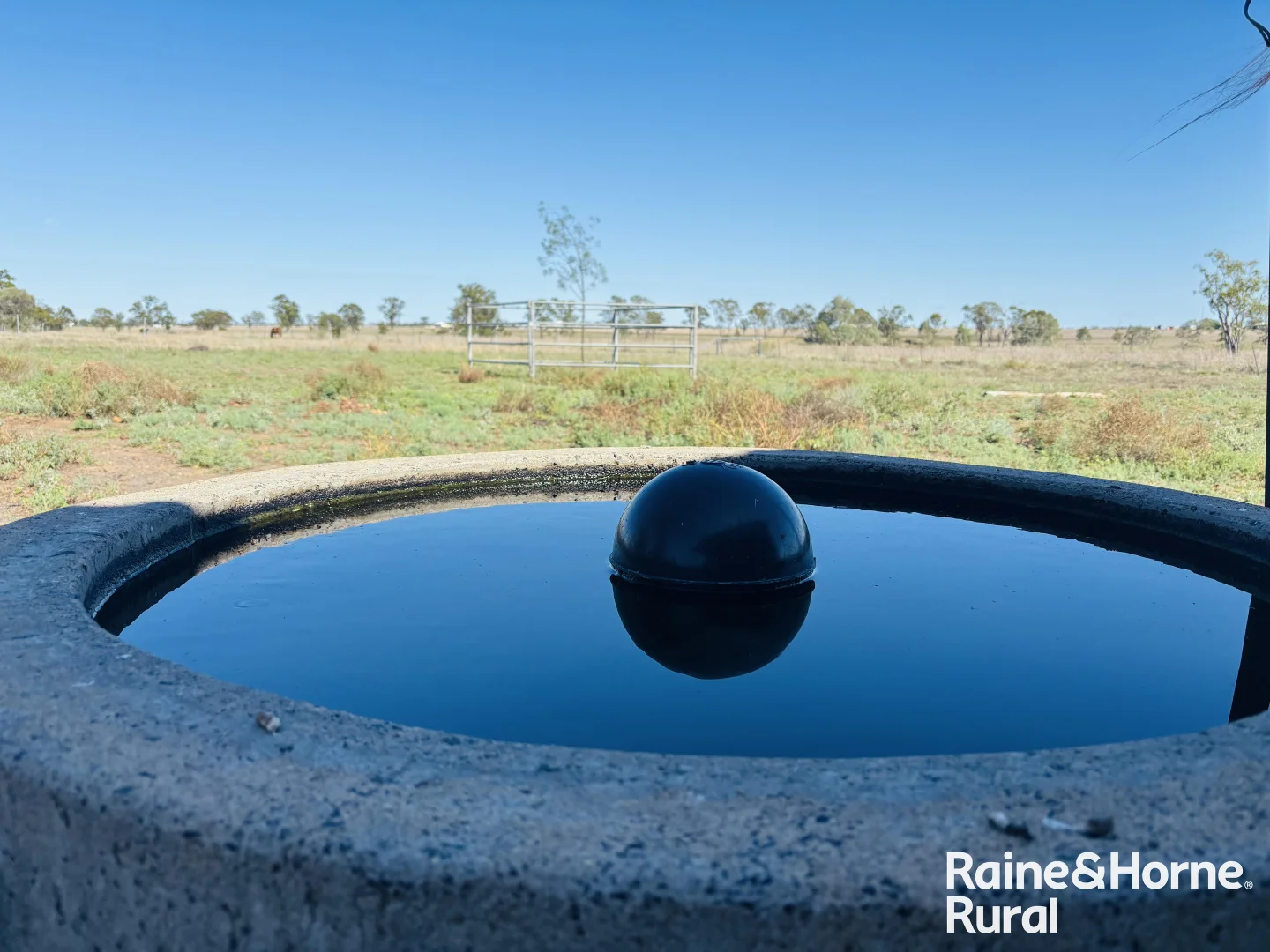 Additional image 23 of 260 Geoghegan Road, Roma QLD 4455