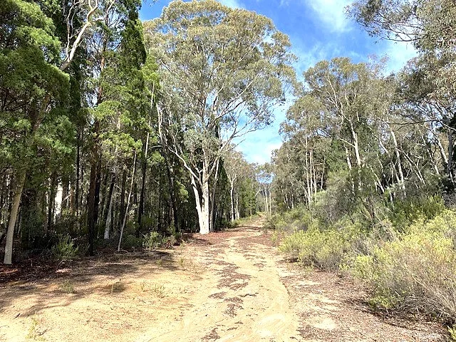 Additional image 6 of 150 Reedy Creek Road, Rylstone NSW 2849