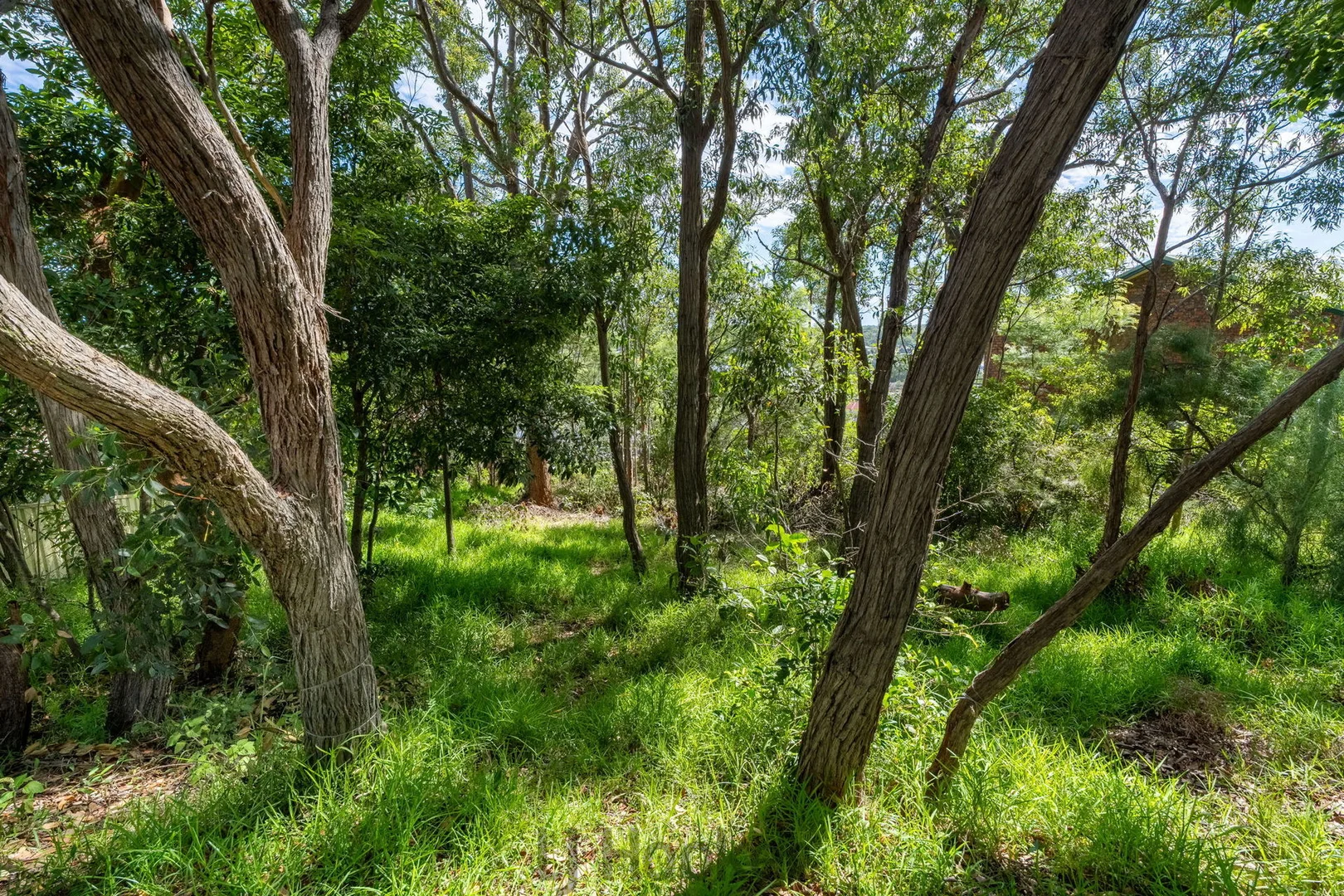 Additional image 8 of 44 Somersham Avenue, Fishing Point NSW 2283