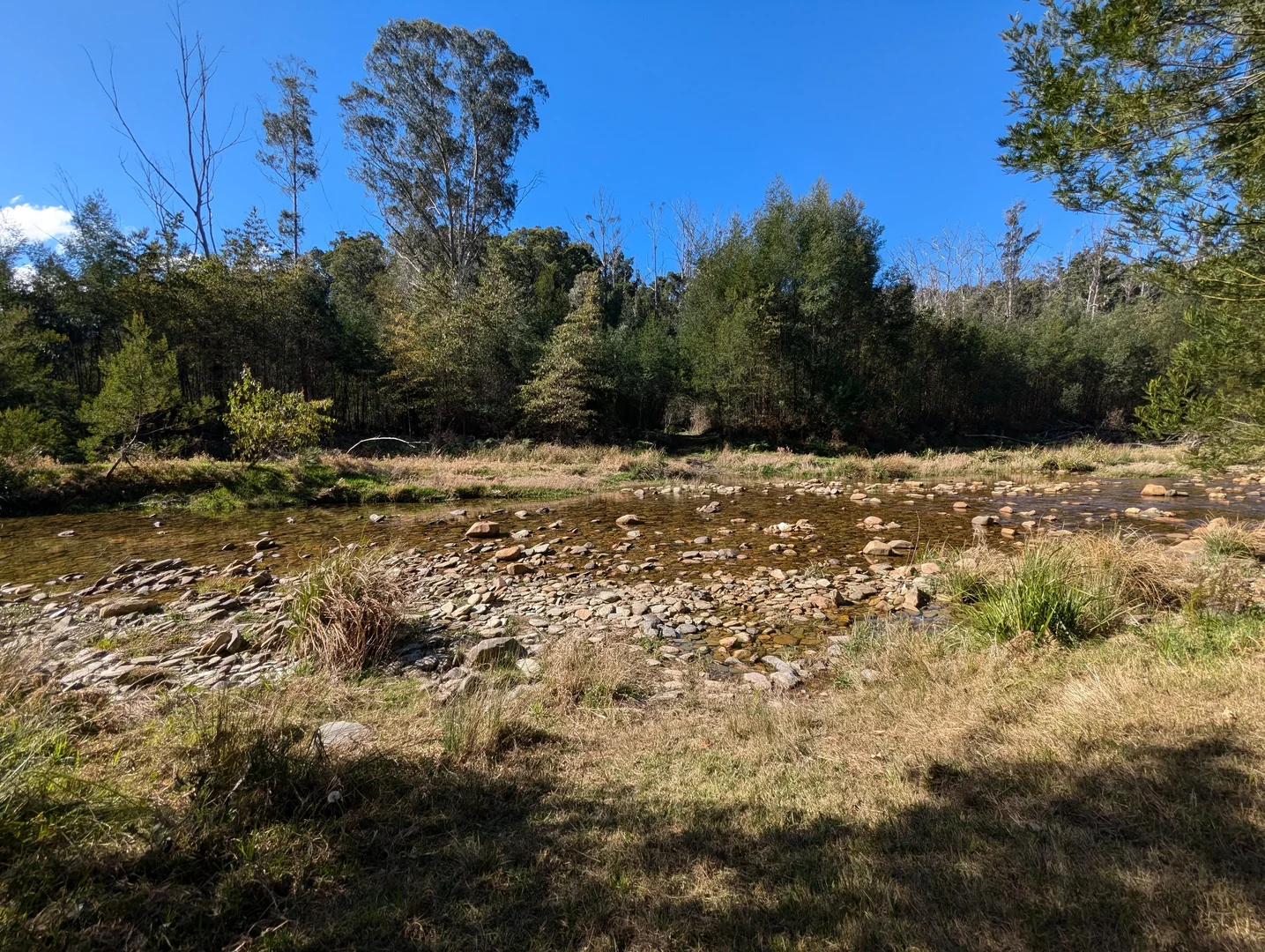 Additional image 23 of 115 Gulph Creek Road, Nerrigundah NSW 2545