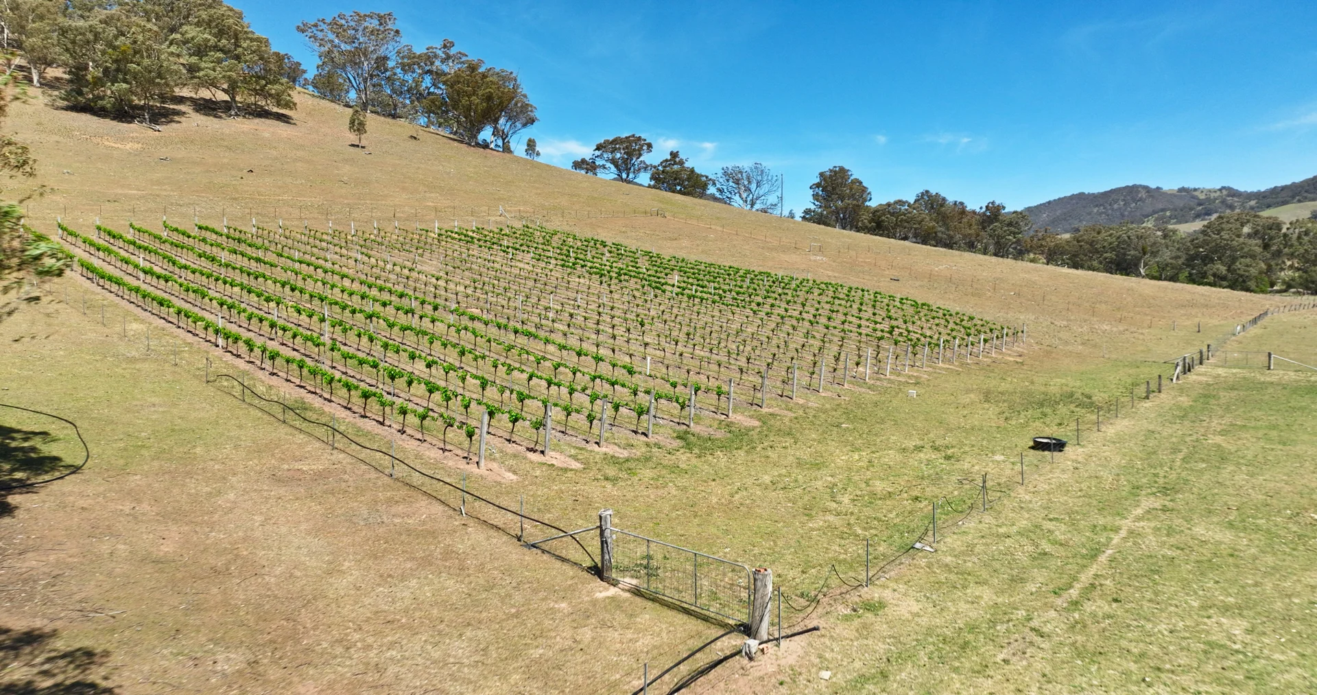 Additional image 29 of 185 Brookville Road, Swifts Creek VIC 3896