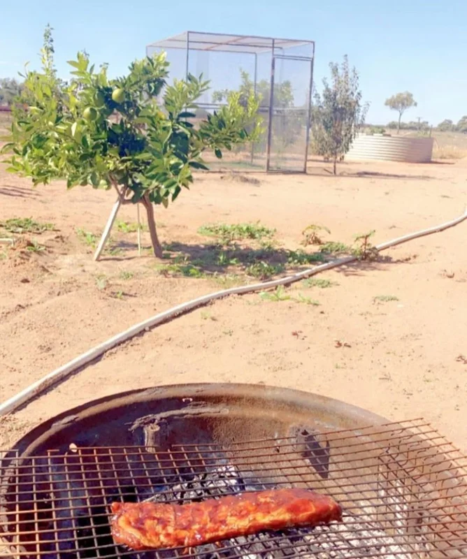 Additional image 14 of 123 Budgie Street, Menindee NSW 2879