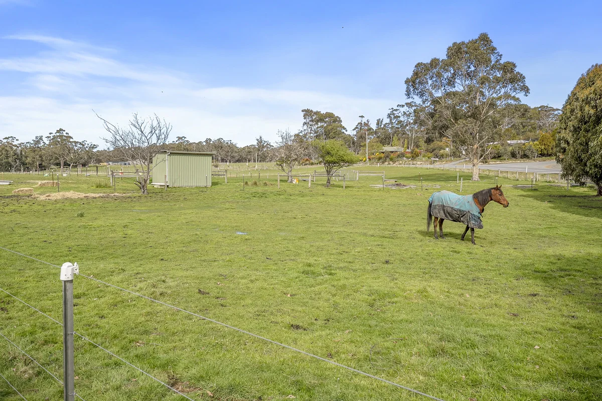Additional image 7 of 730 Sandfly Road, Sandfly TAS 7150