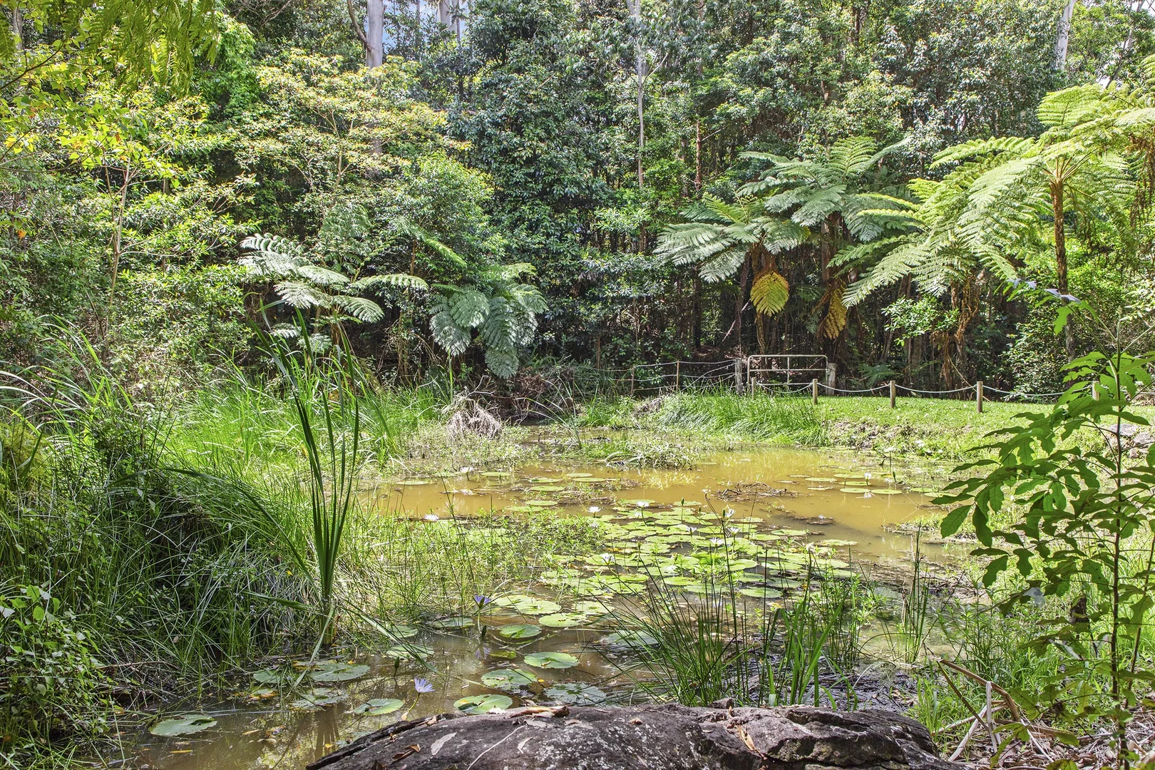 Additional image 19 of 56-66 The Shelf Road, Tamborine Mountain QLD 4272