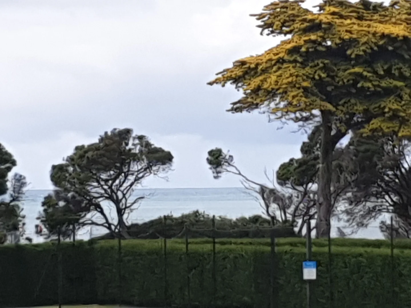 Additional image 17 of 125A&B/35 Mountjoy Parade, Lorne VIC 3232