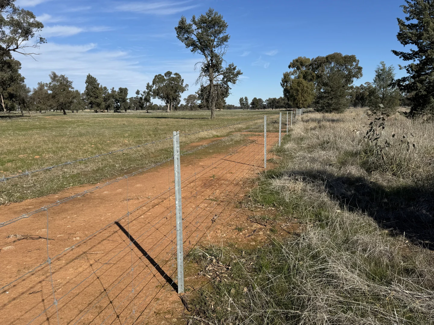 Additional image 4 of Berrigan Oaklands Road, Berrigan NSW 2712