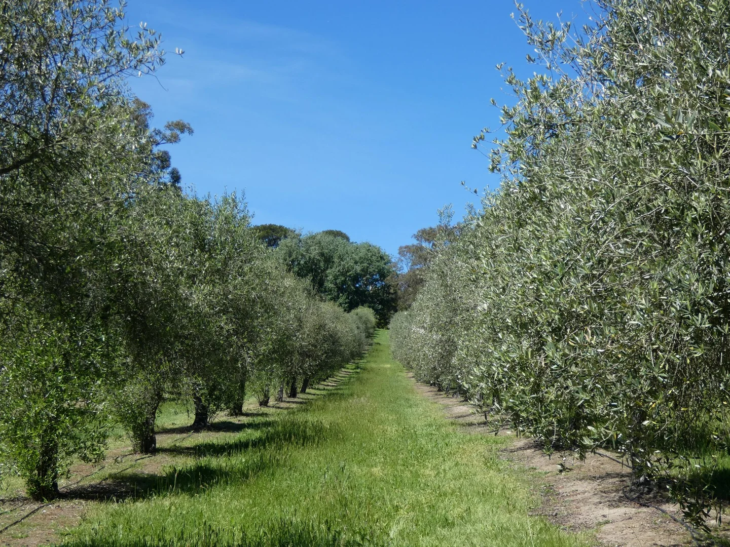 Additional image 3 of 21 Gruyere Road, Gruyere VIC 3770