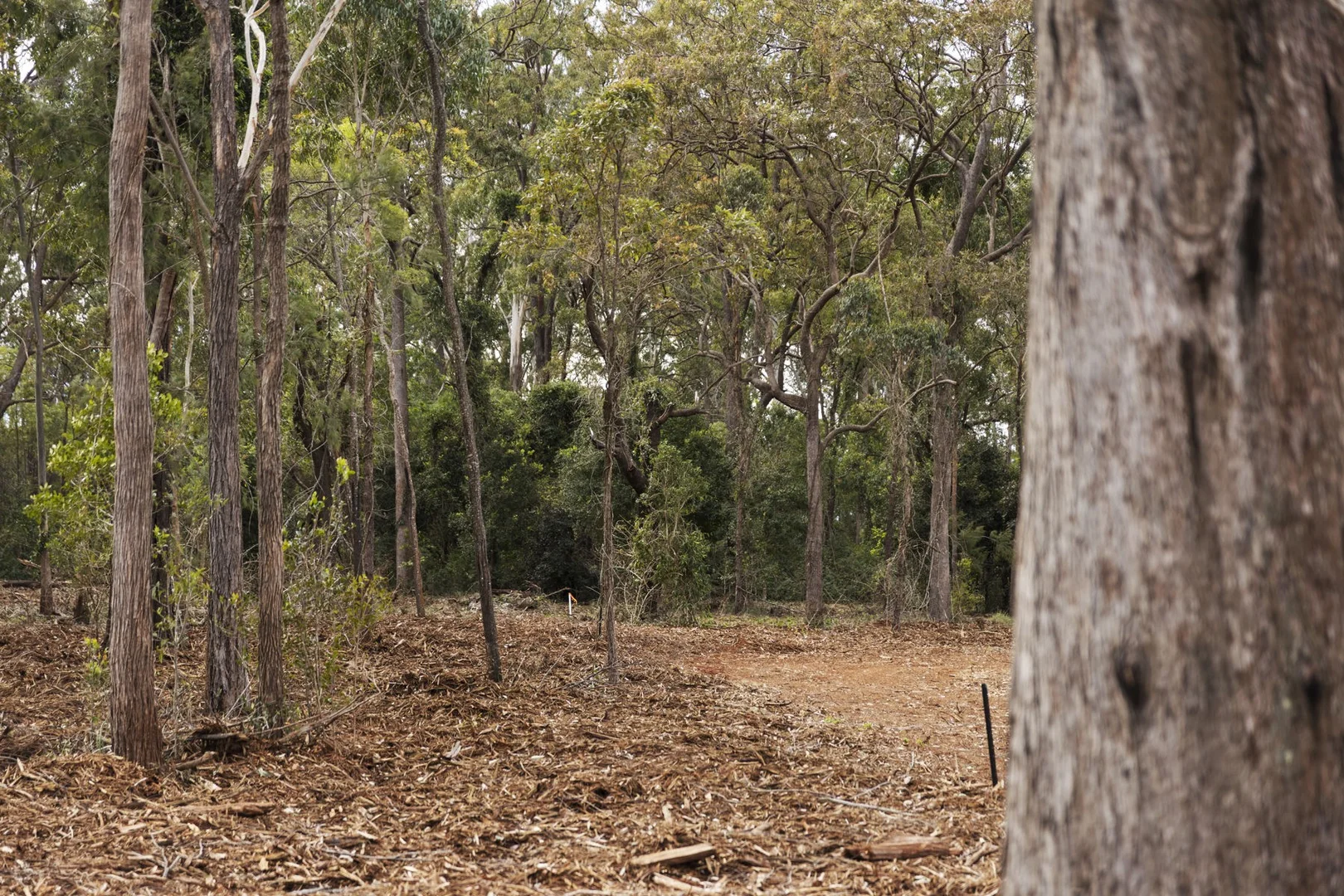 Additional image 13 of Lot 104 Mahs Court, Highfields QLD 4352