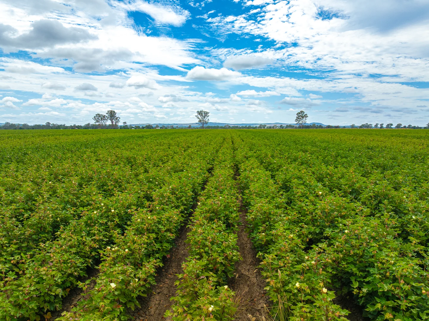Additional image 3 of 424 Campbells Road, Silverleaf QLD 4605