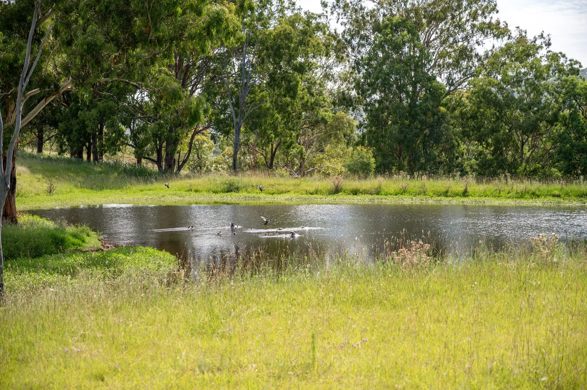 Additional image 14 of 1006 North Branch Road, Goomburra QLD 4362